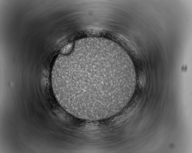 X0000103950964200810101434