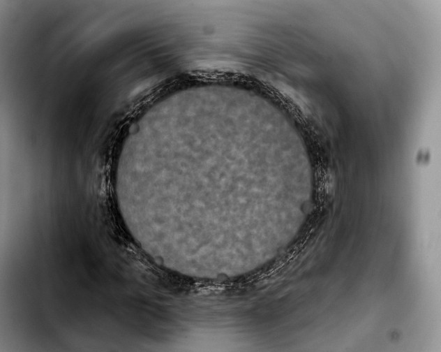 X0000103950965200810101434