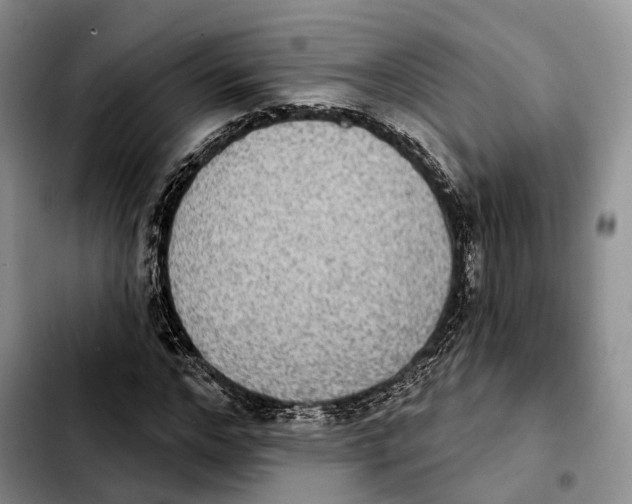 X0000103950968200810101434