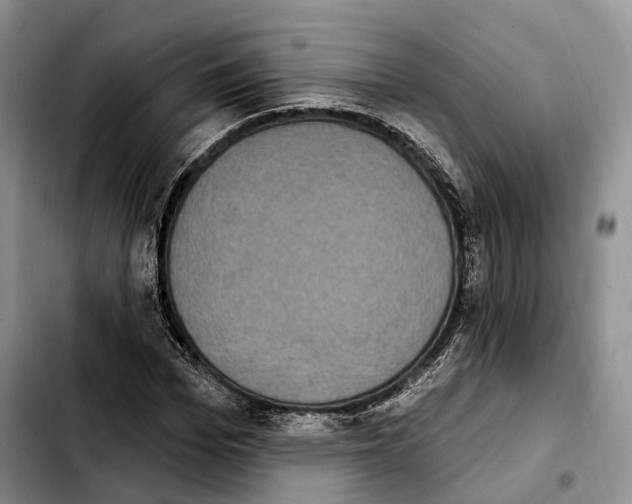 X0000103950969200810101434