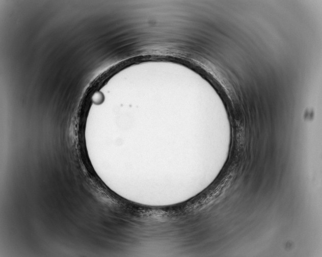 X0000103950971200810101434