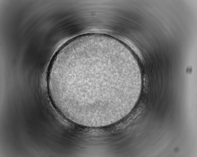 X0000103950972200810101434