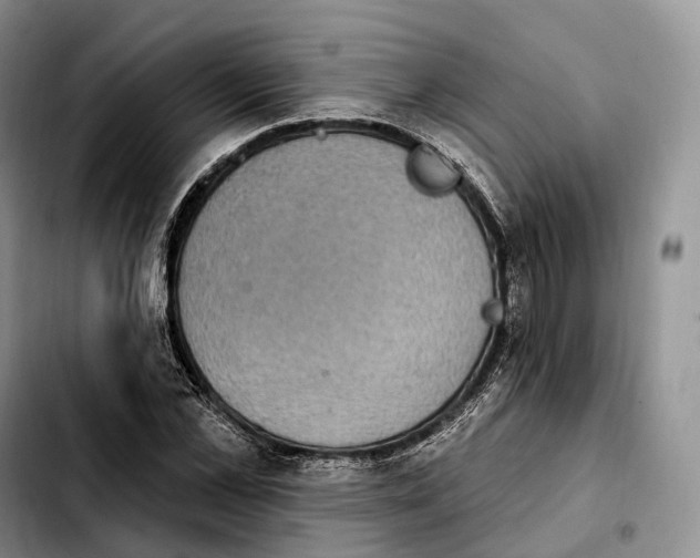 X0000103950973200810101434