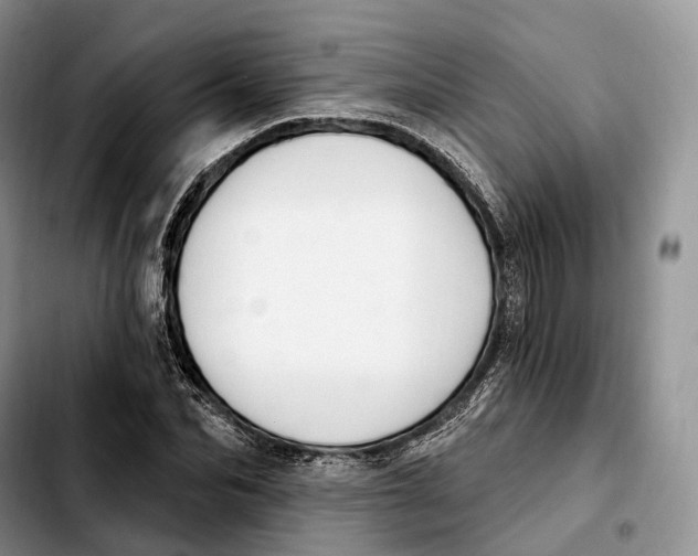 X0000103950974200810101434