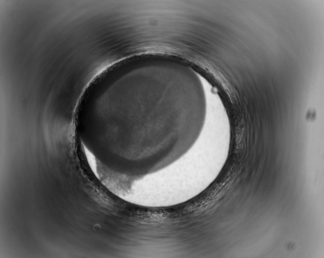 X0000103950975200810101434