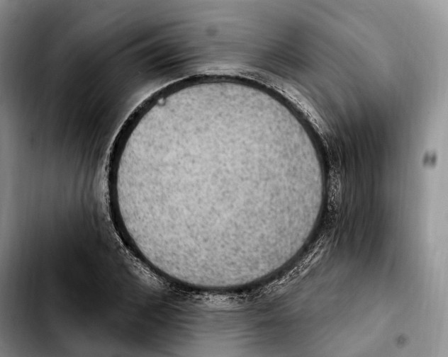 X0000103950976200810101434