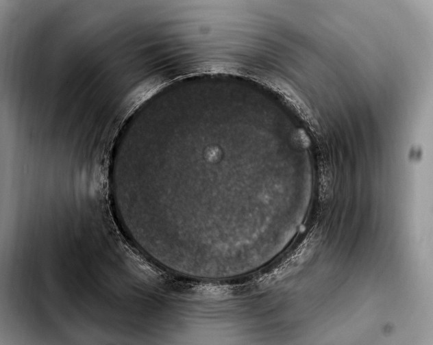 X0000103950977200810101434