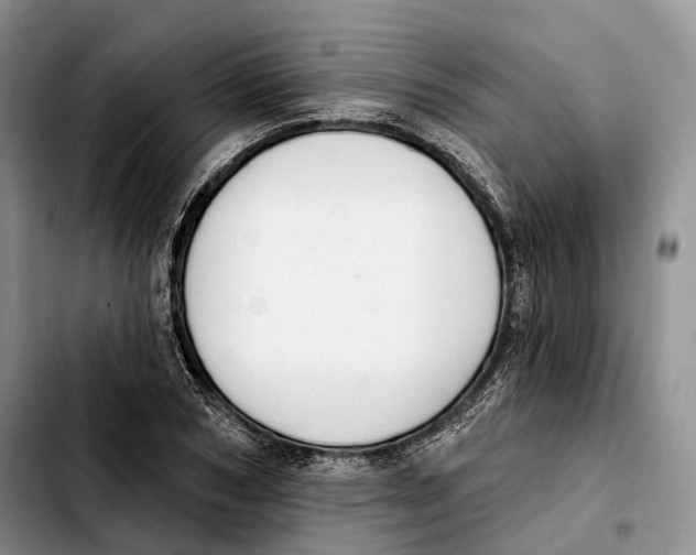 X0000103950978200810101434