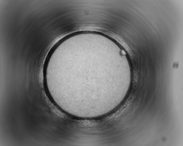 X0000103950980200810101434