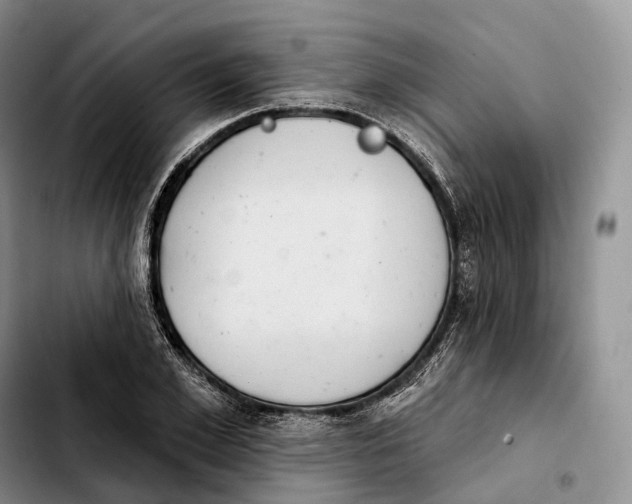 X0000103950981200810101434