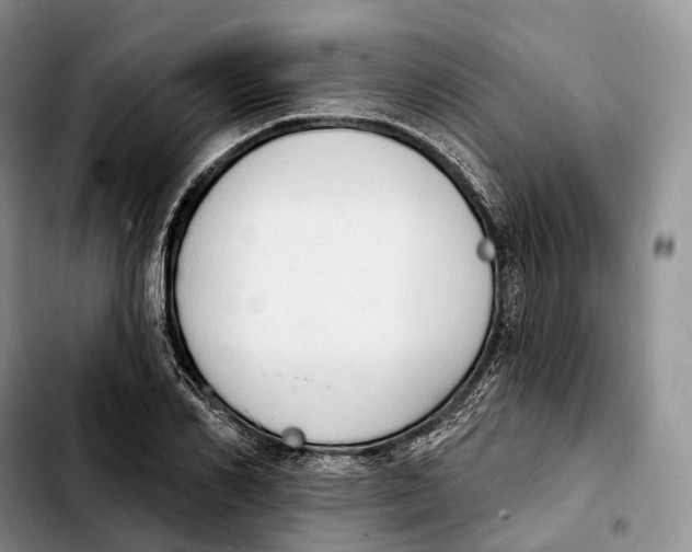 X0000103950982200810101434