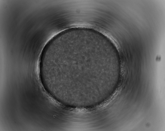 X0000103950983200810101434