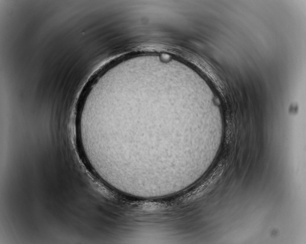 X0000103950984200810101434