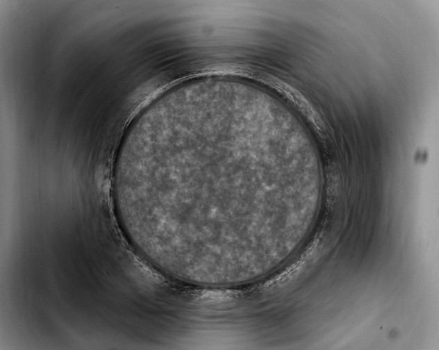 X0000103950985200810101434