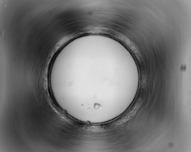 X0000103950986200810101434