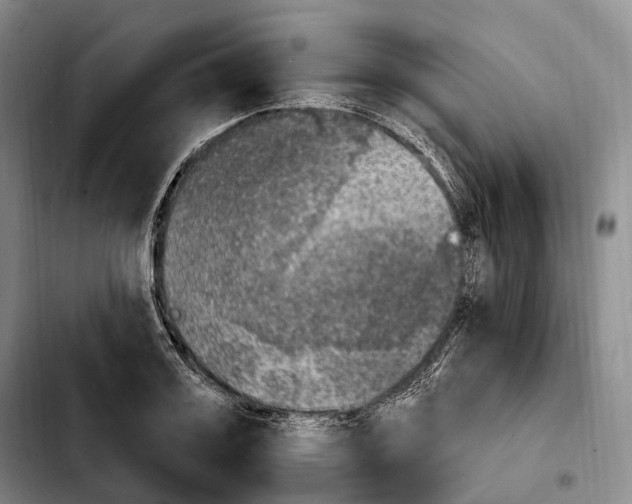 X0000103950987200810101434