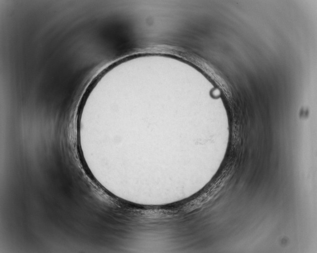 X0000103950988200810101434