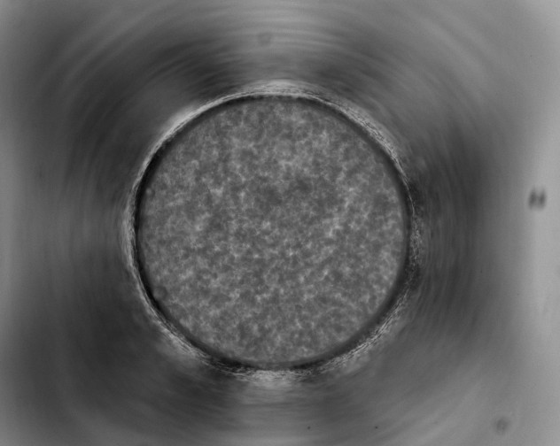 X0000103950989200810101434