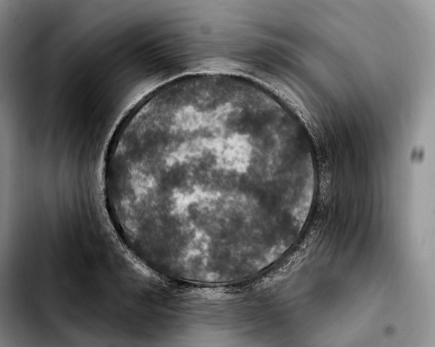 X0000103950990200810101434