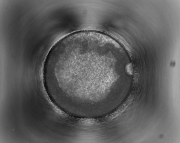 X0000103950991200810101434