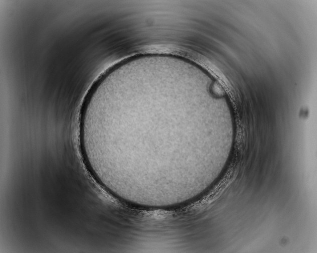 X0000103950992200810101434