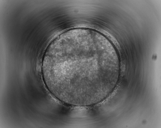 X0000103950993200810101434