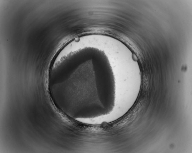 X0000103950994200810101434