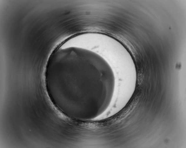 X0000103950995200810101434