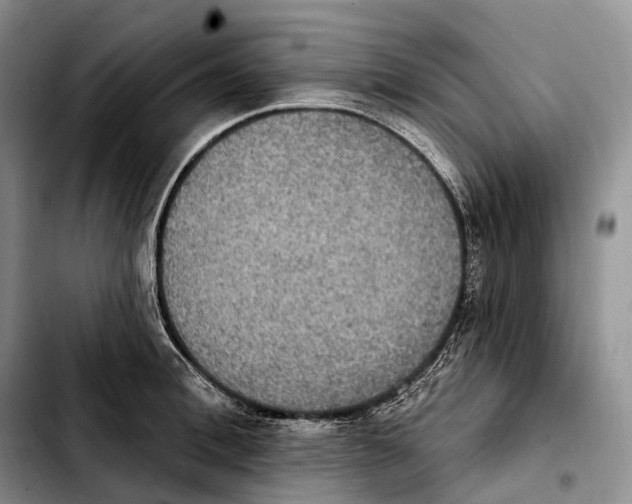 X0000103950996200810101434