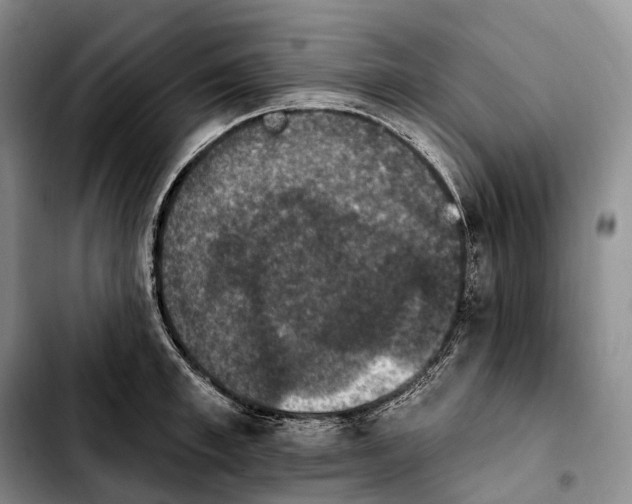 X0000103950997200810101434