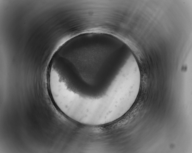 X0000103950998200810101434