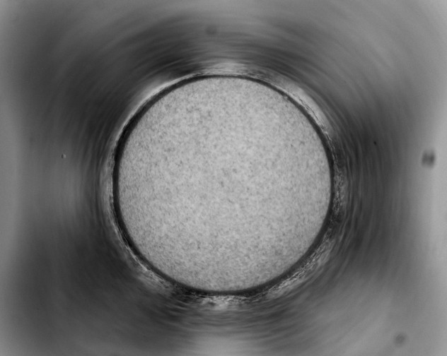 X0000103951000200810101434