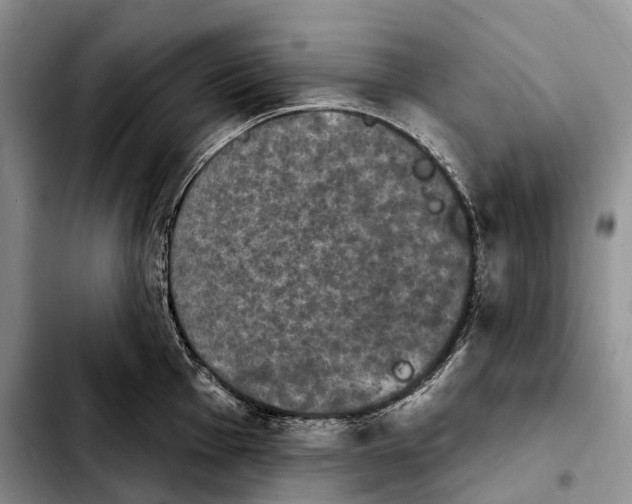 X0000103951001200810101434