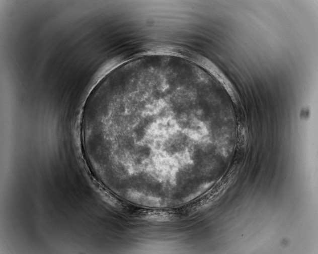 X0000103951002200810101434