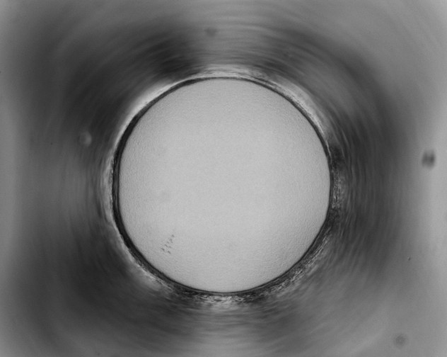 X0000103951003200810101434