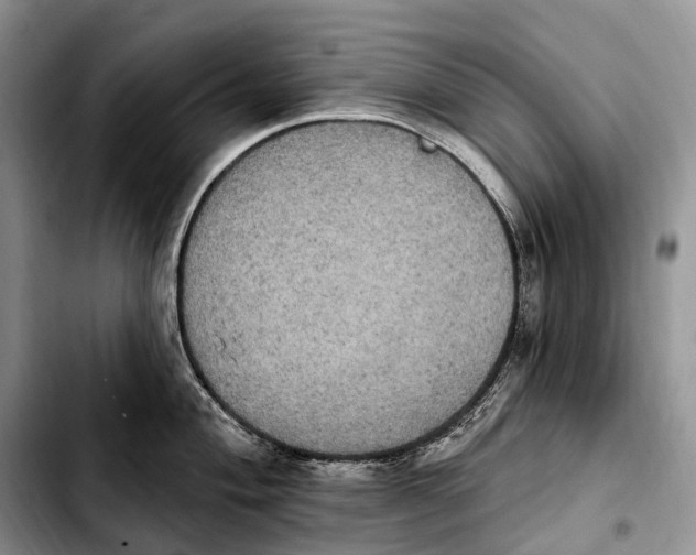 X0000103951004200810101434