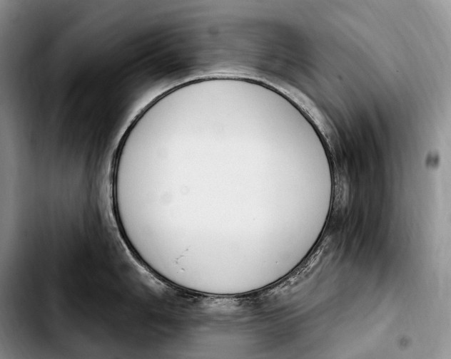 X0000103951006200810101434