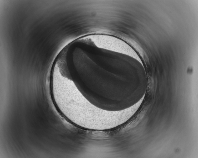 X0000103951007200810101434