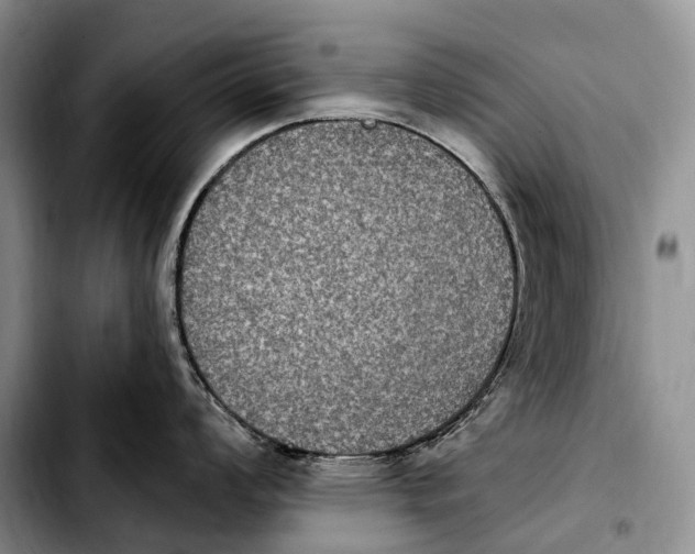 X0000103951008200810101434