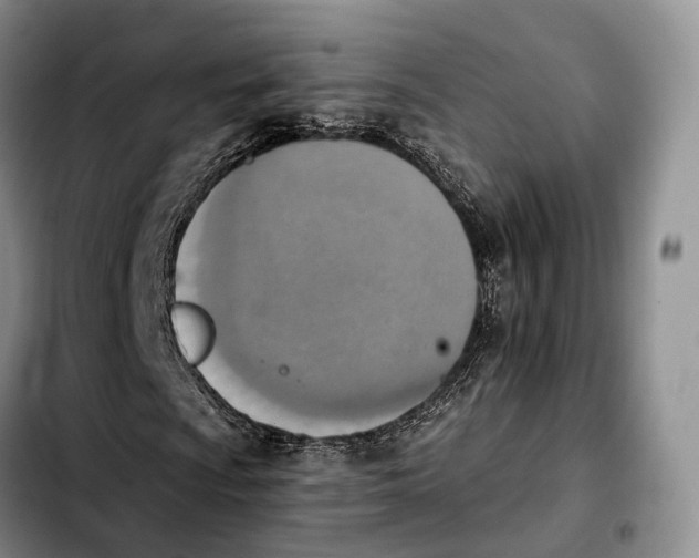 X0000103951009200810101433