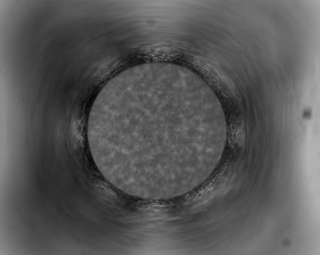 X0000103951010200810101433