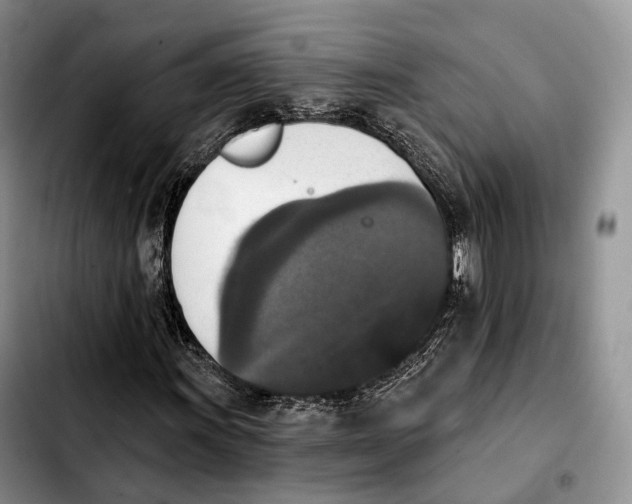 X0000103951011200810101433