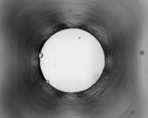 X0000103951012200810101433