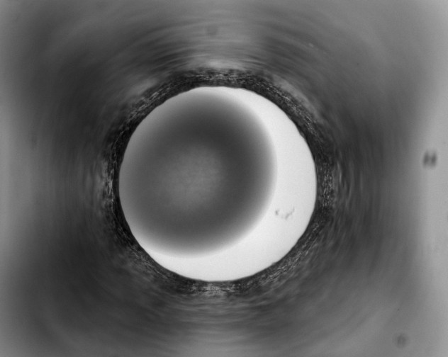 X0000103951013200810101433