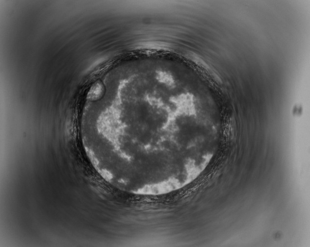 X0000103951014200810101433