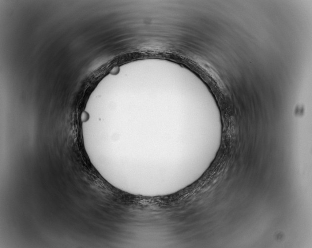 X0000103951015200810101433