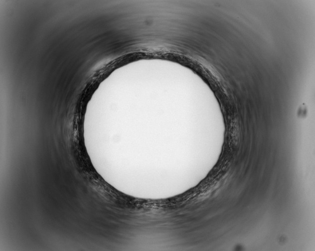 X0000103951016200810101433