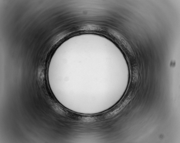 X0000103951017200810101433