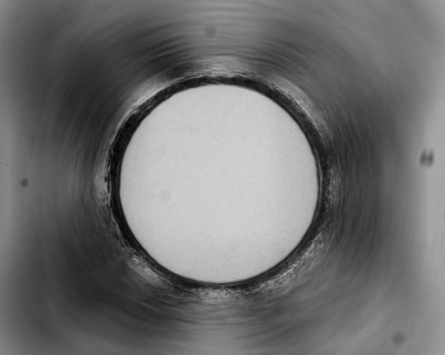 X0000103951018200810101433