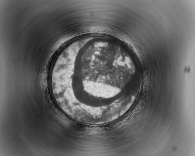 X0000103951019200810101433